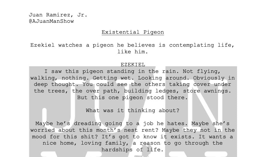 MEN+ (18-25) EXISTENTIAL PIGEON